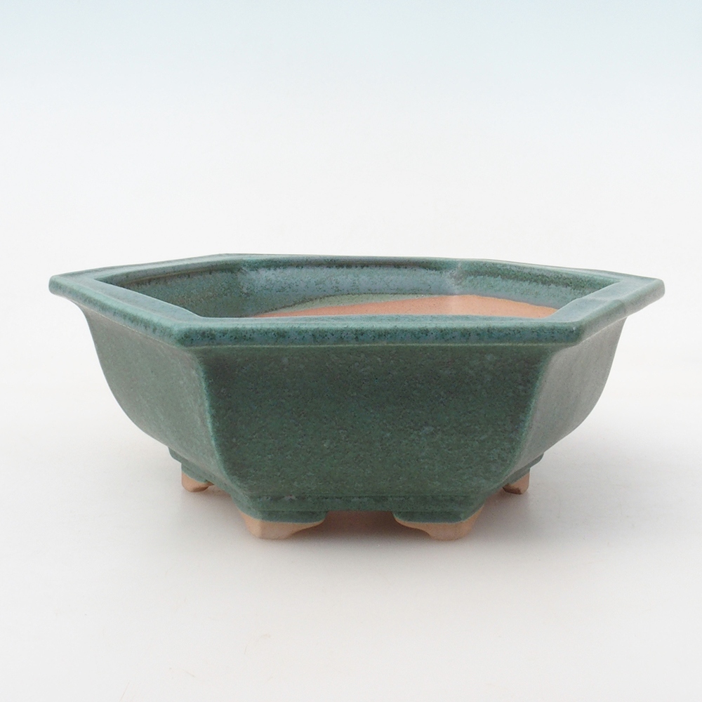 Bonsai pot + saucer H53 - 19 x 21.5 x 7 cm. - green