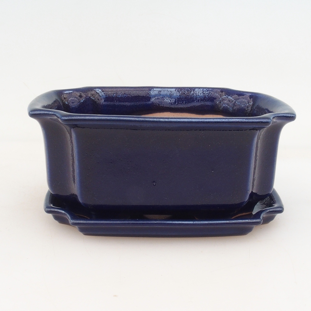 Bonsai bowl + bowl H01 - blue