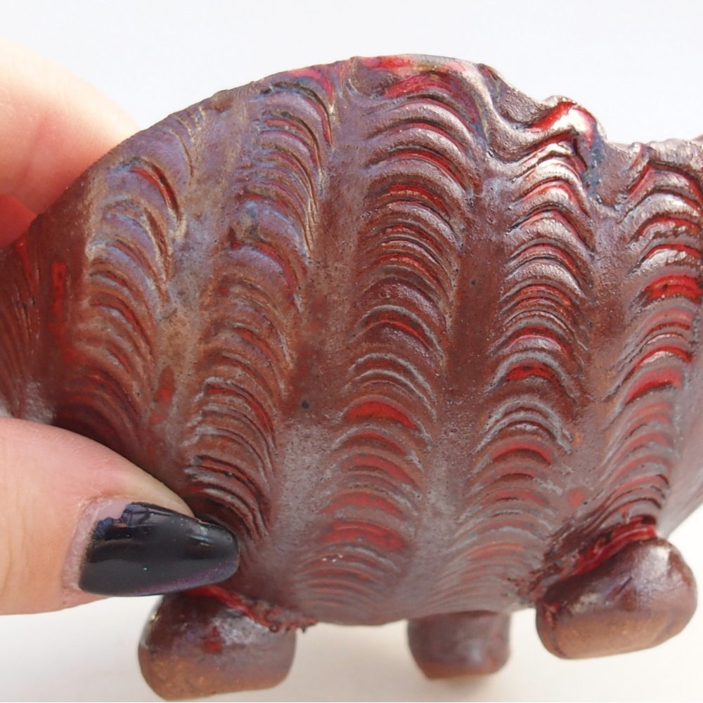 Ceramic Shell 10 x 10 x 8 cm , colour brown