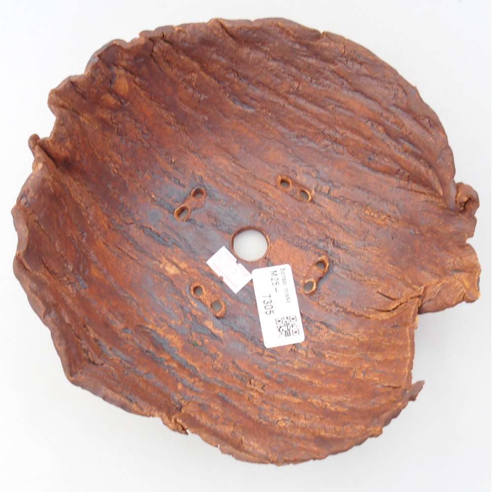 Ceramic Shell 20 x 20 x 8 cm , colour brown