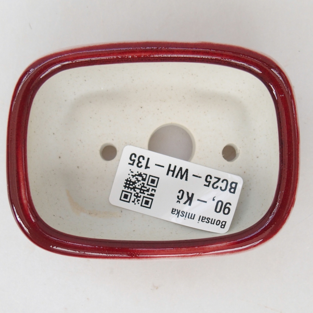 Mini bonsai bowl 8 x 6 x 3 cm, colour red