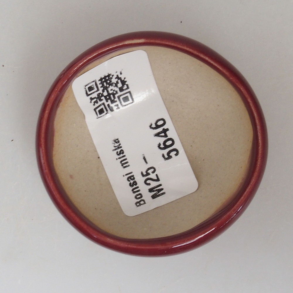 Mini bonsai bowl 5 x 5 x 2 cm, color burgundy