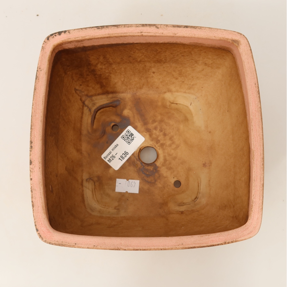 Ceramic bonsai pot, 16.5 x 16.5 x 9.5 cm, pink