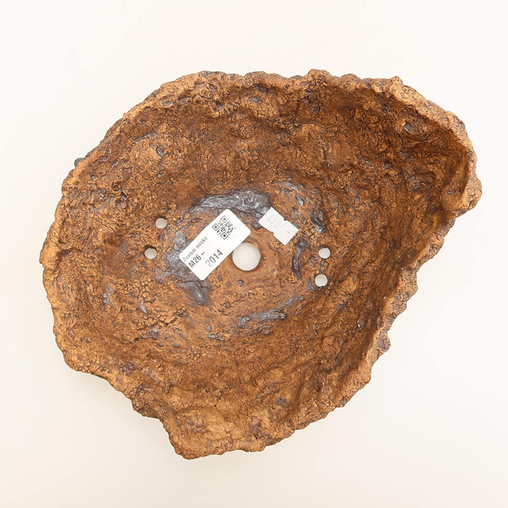 Ceramic Shell, 19 x 17 x 13 cm, brown