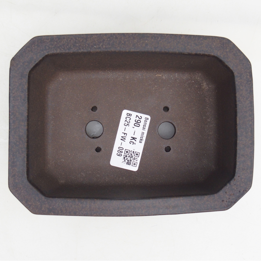 Ceramic bonsai bowl 15 x 11 x 5 cm, brownish ochre