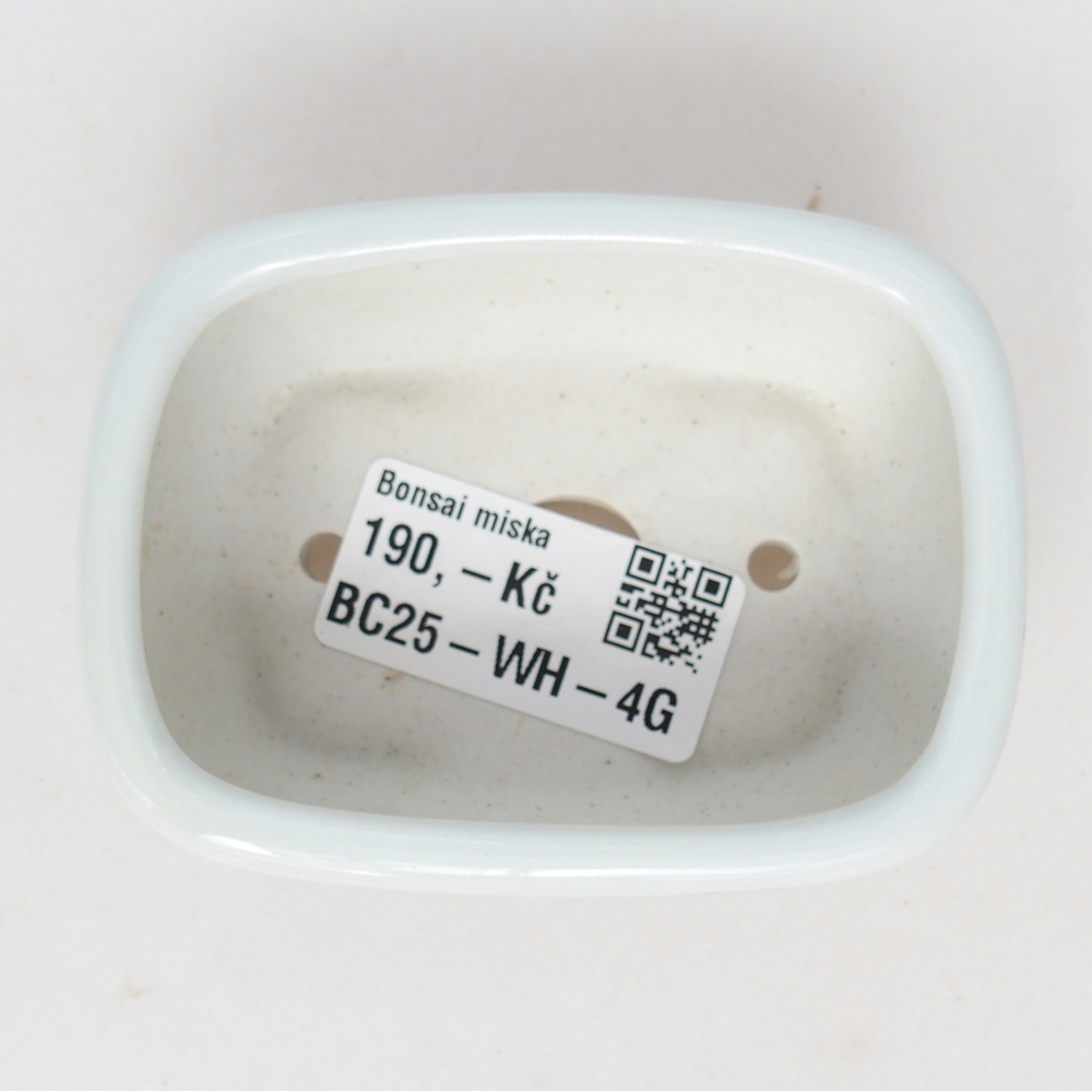Mini bonsai bowl 8 x 6 x 3 cm, white