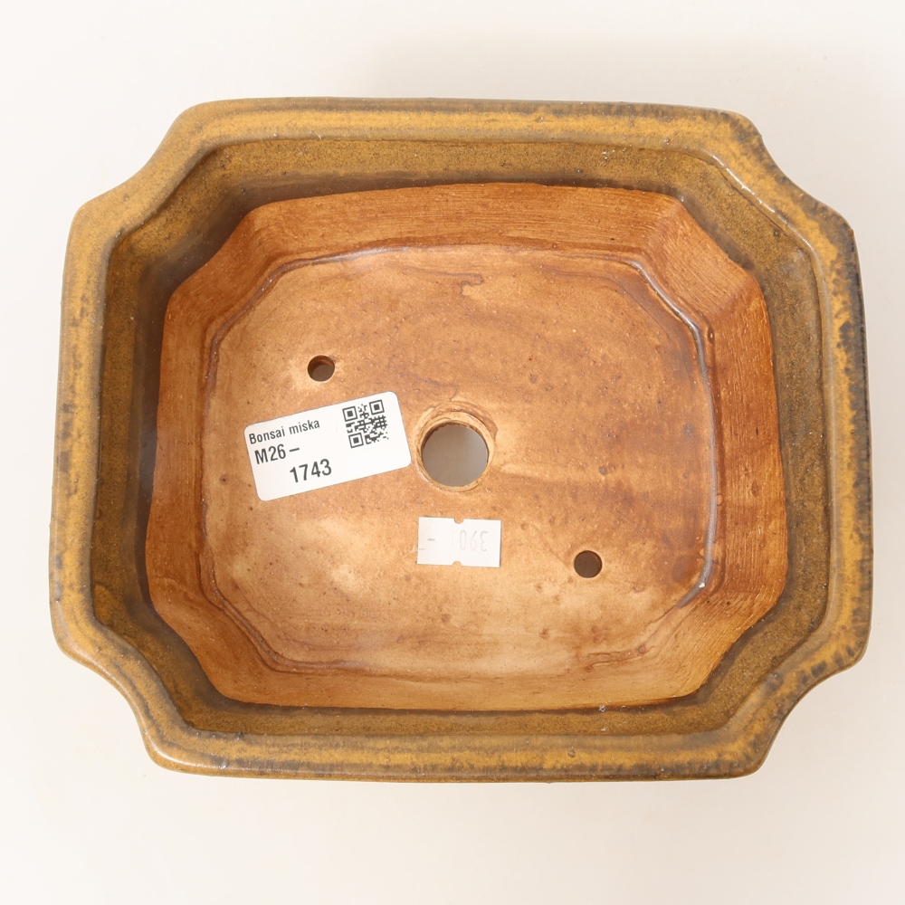 Ceramic bonsai pot, 18 x 15 x 6 cm, brown