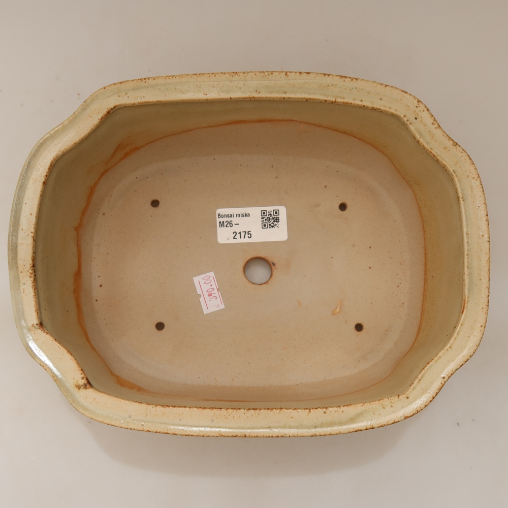 Ceramic bonsai pot, 22.5 x 17.5 x 7.5 cm, beige