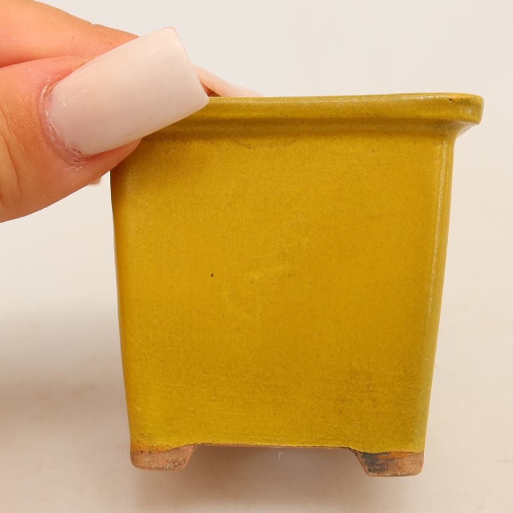 Ceramic bonsai pot, 6 x 6 x 5.5 cm, yellow