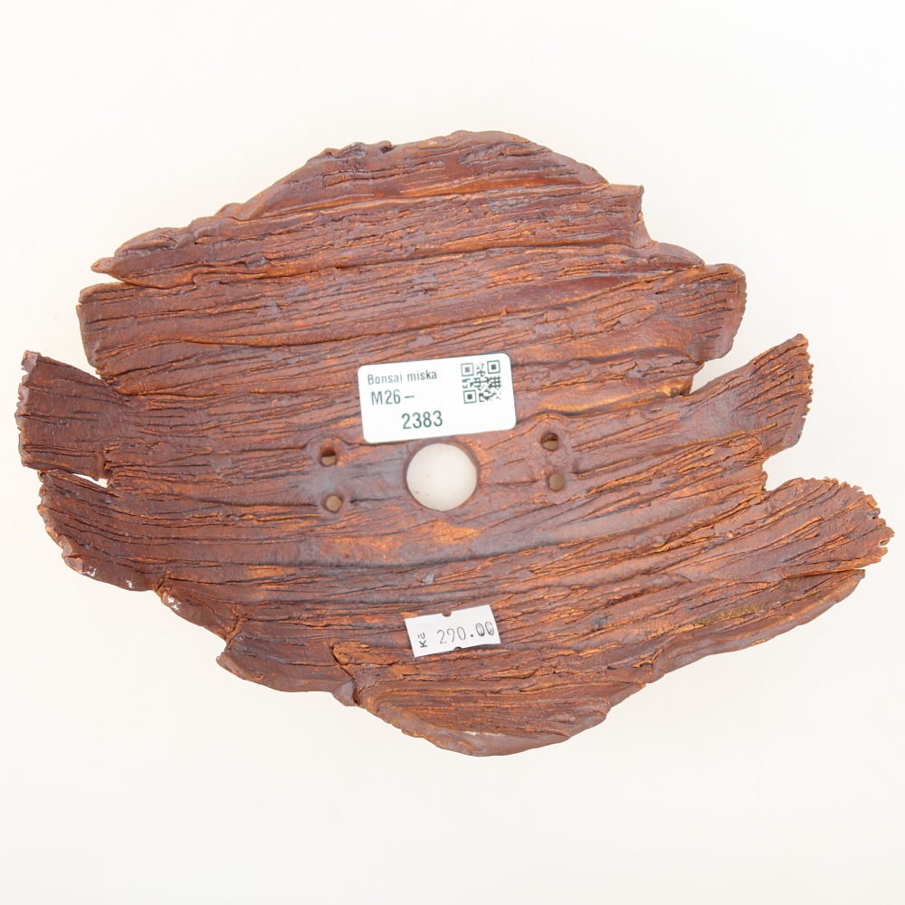 Ceramic Shell  19 x 14 x 7 cm, brown