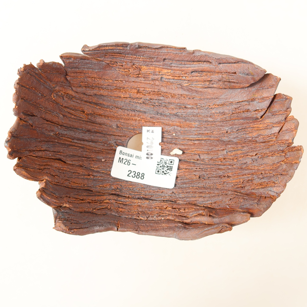 Ceramic Shell  15 x 11 x 7.5 cm, brown
