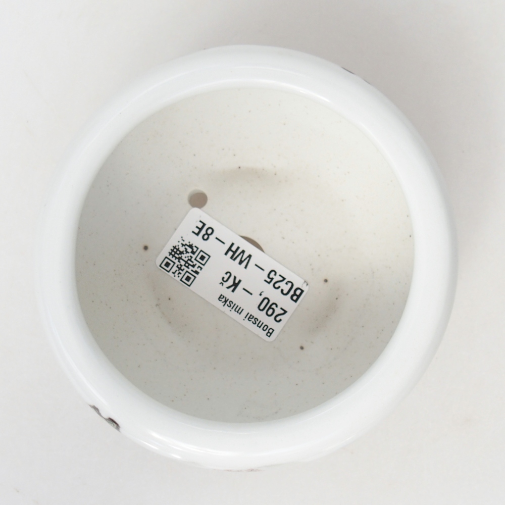 Ceramic bonsai bowl 10 x 10 x 5 cm, colour white