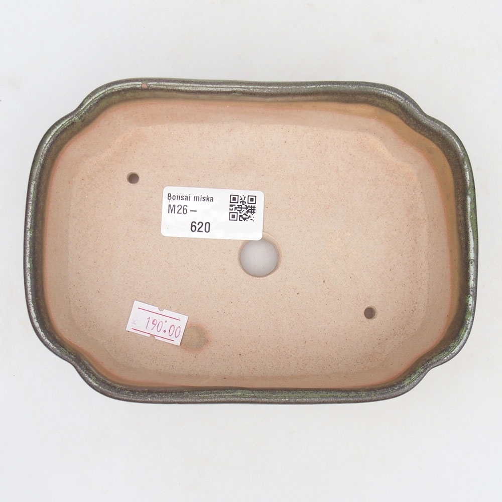 Ceramic bonsai bowl 16 x 11,5 x 4,5 cm, green