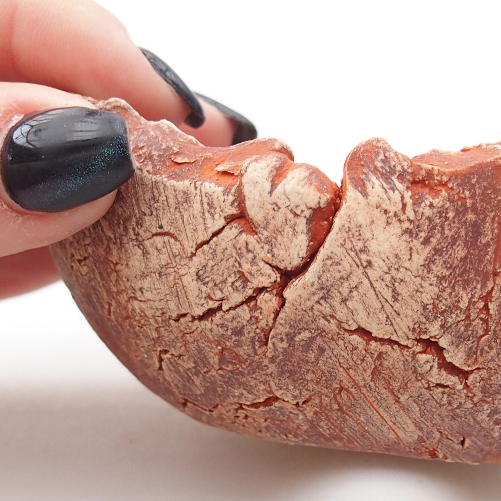 Ceramic shell 9,5 x 9 x 4 cm , colour orange