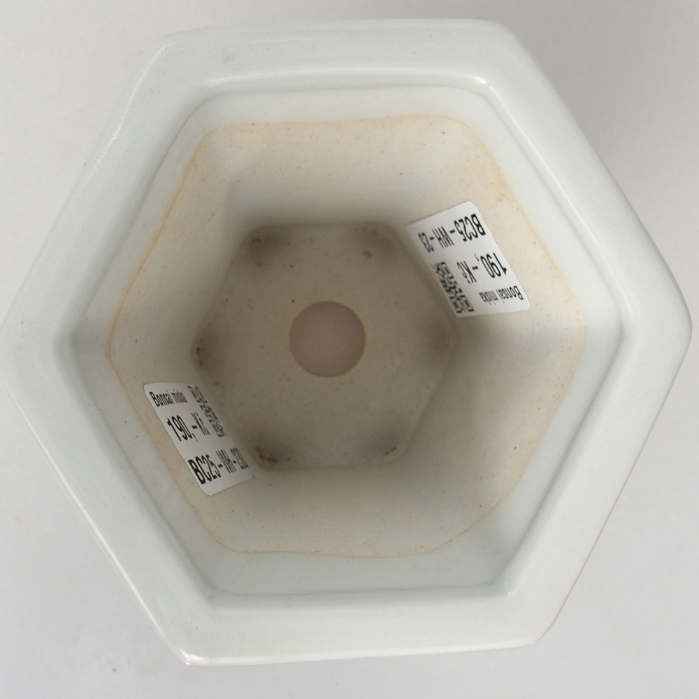 Ceramic bonsai bowl 10 x 9 x 9 cm, colour white