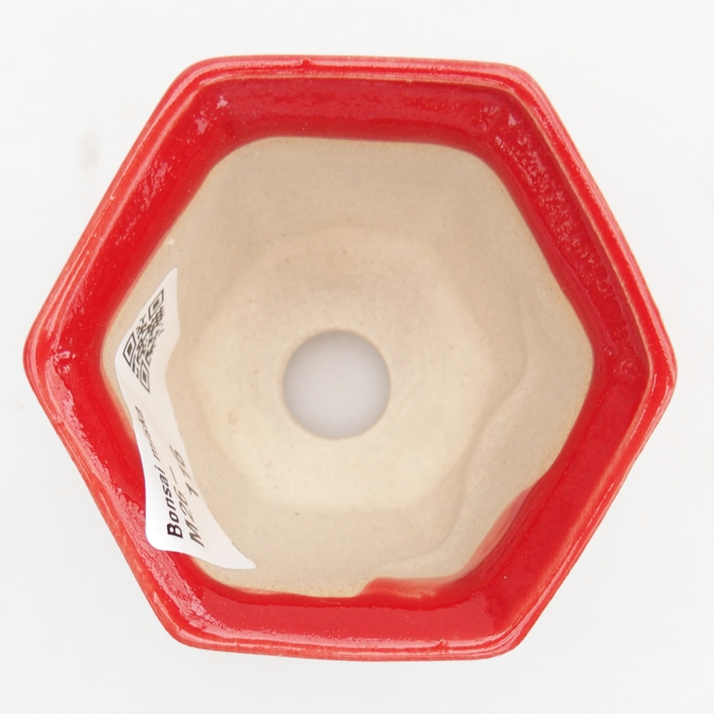 Mini bonsai bowl 7 x 6,5 x 5 cm, colour red