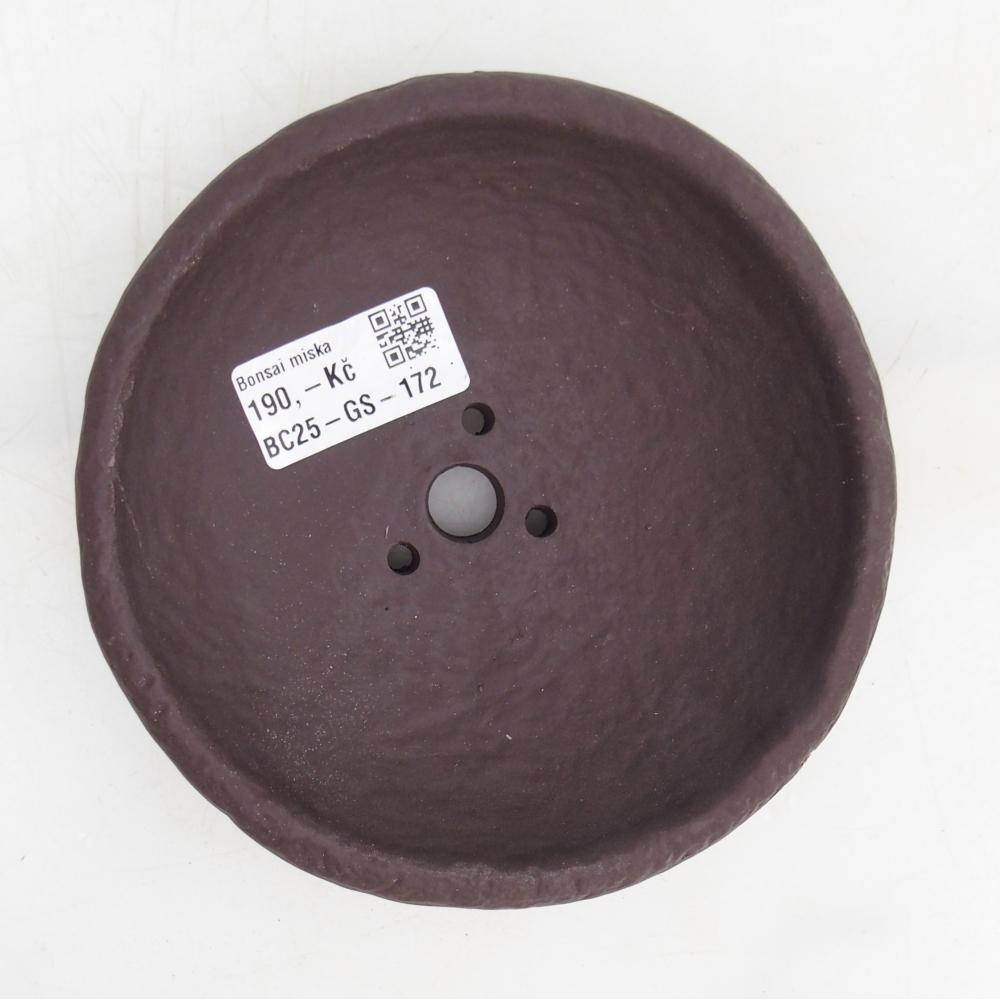 Ceramic shell 14 x 14 x 4 cm , colour brown