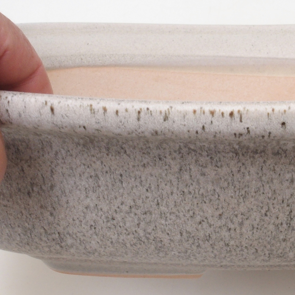 Bonsai bowl H10 - 37 x 28 x 9 cm. - beige