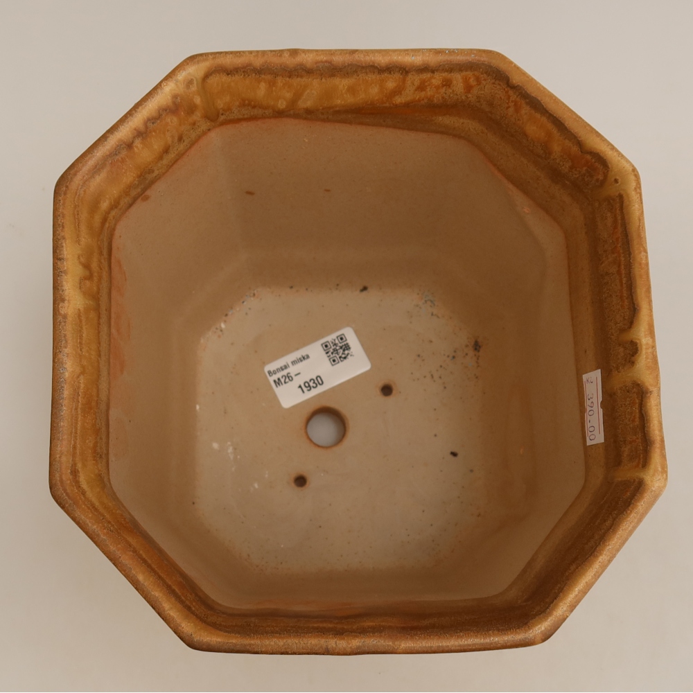 Ceramic bonsai pot, 17.5 x 17.5 x 15.5 cm, beige
