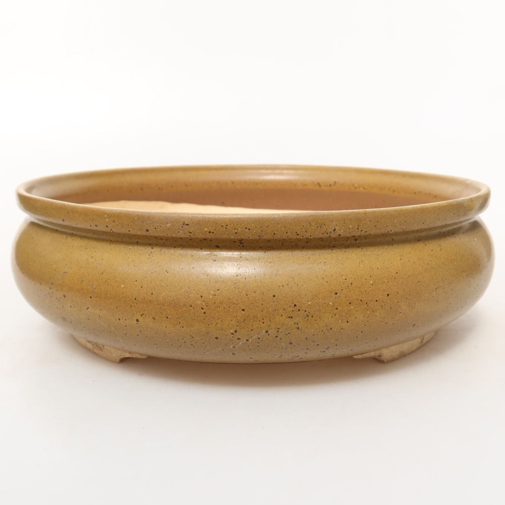 Ceramic Shell, 24 x 24 x 7.5 cm, brown