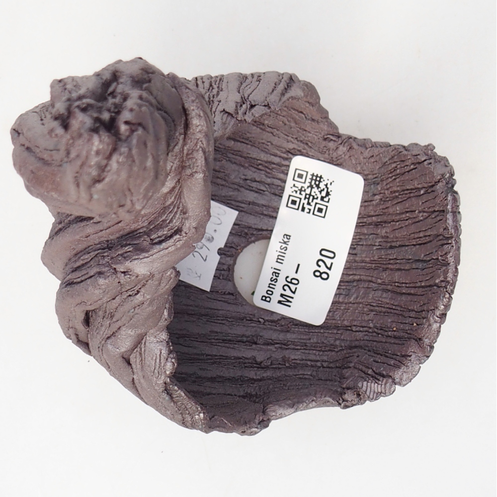 Ceramic Shell 8,5 x 8 x 14,5 cm , metallic colour