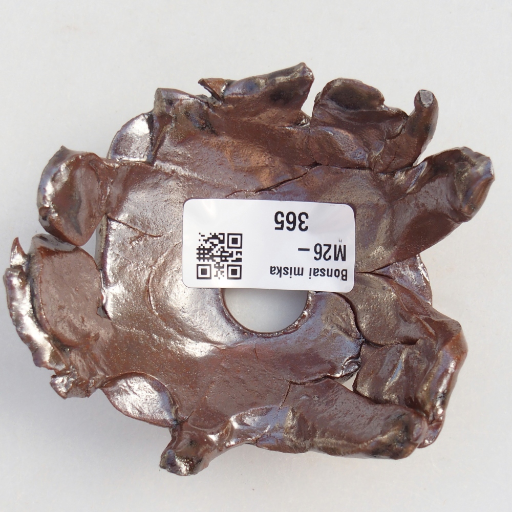 Ceramic Shell 9 x 8 x 5 cm , colour brown