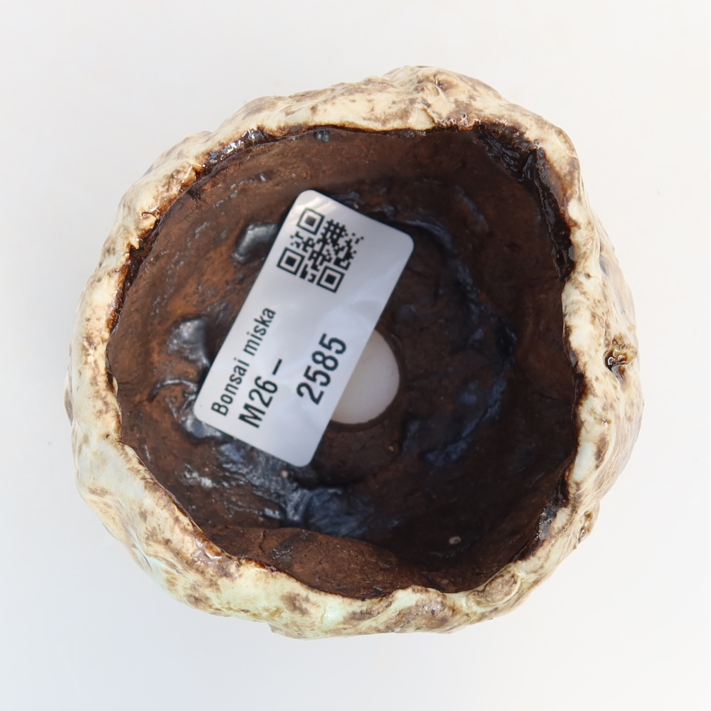 Ceramic Shell, 7.5 x 7 x 5.5 cm, white-brown