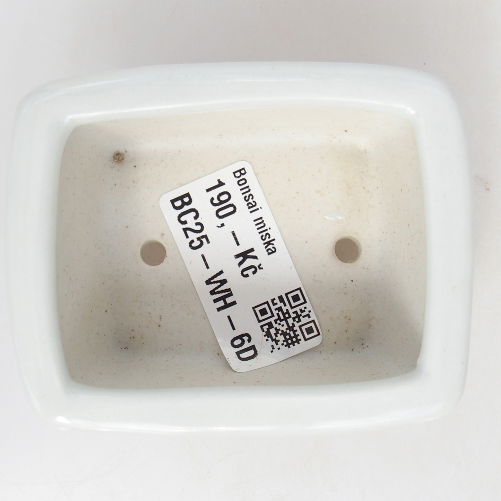 Mini bonsai bowl 8 x 6,5 x 3,5 cm, white