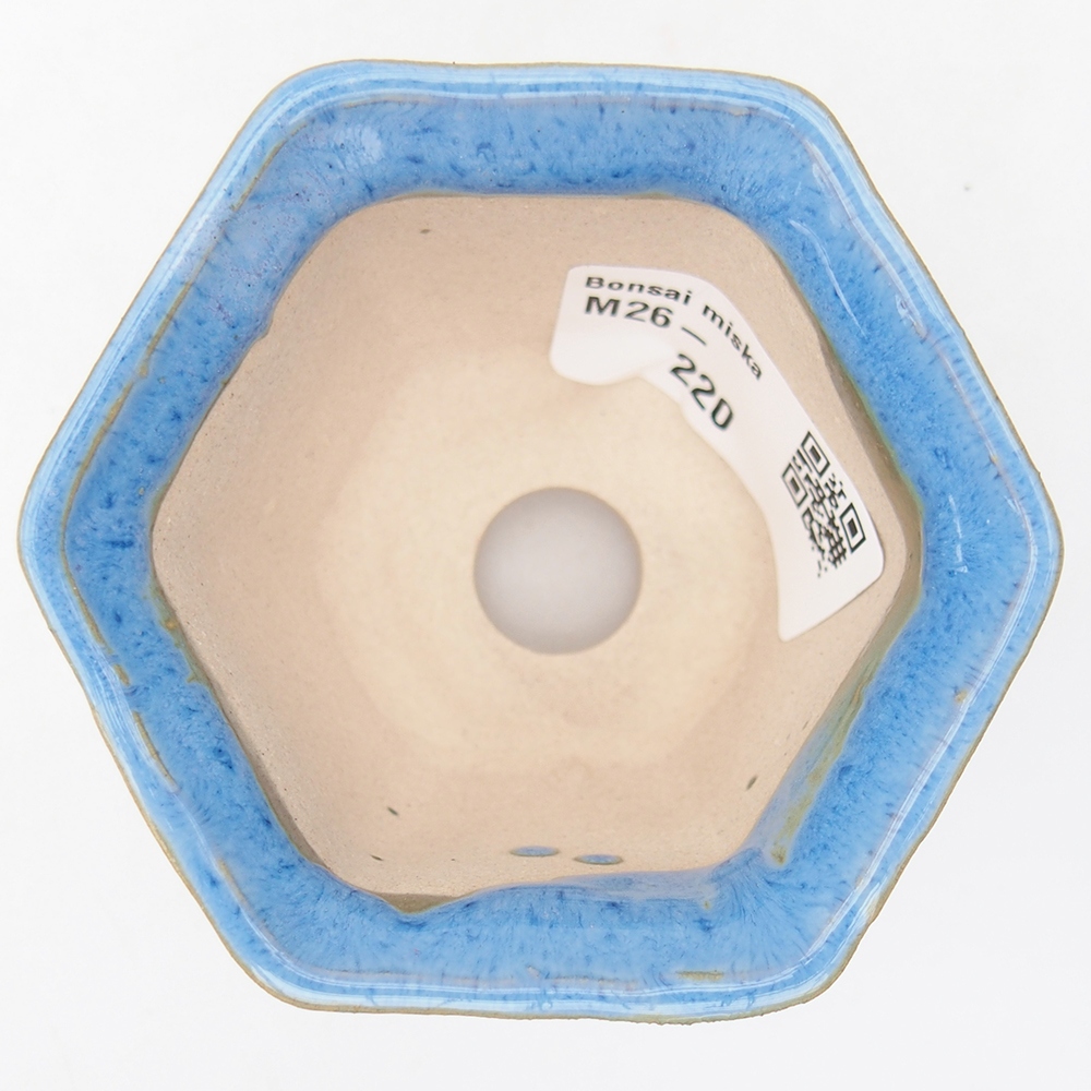 Mini bonsai bowl 4 x 6,5 x 5 cm, colour blue