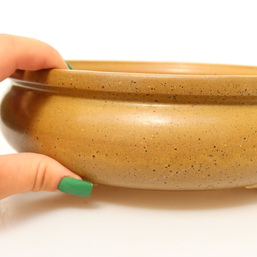 Ceramic Shell, 24 x 24 x 7.5 cm, brown
