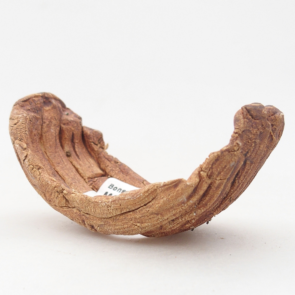 Ceramic Shell 9 x 4,5 x 4,5 cm , colour brown