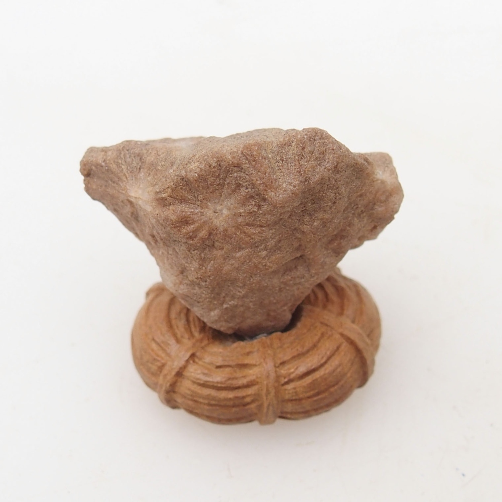 Suiseki - Stone with DAI (wooden pad)