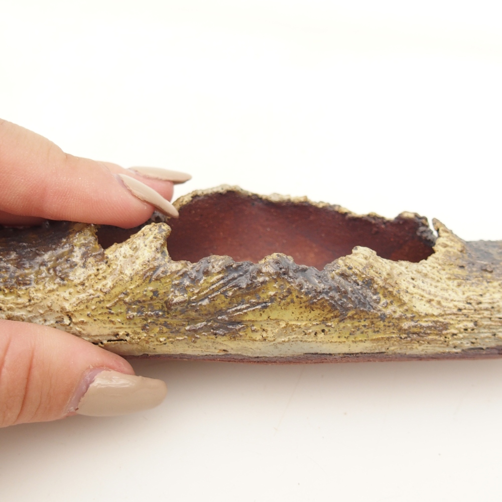 Ceramic shell 15 x 4,5 x 3 cm , yellow