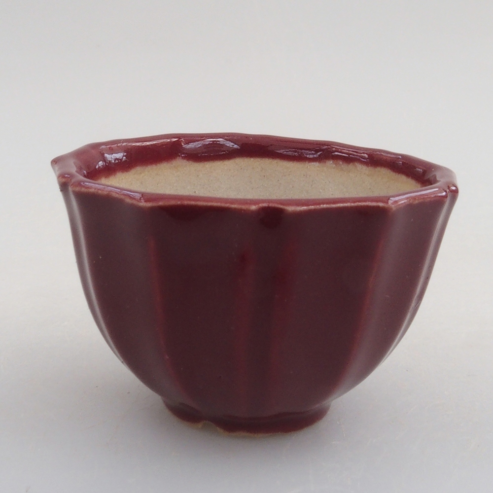 Mini bonsai bowl 5 x 5 x 3 cm, color burgundy