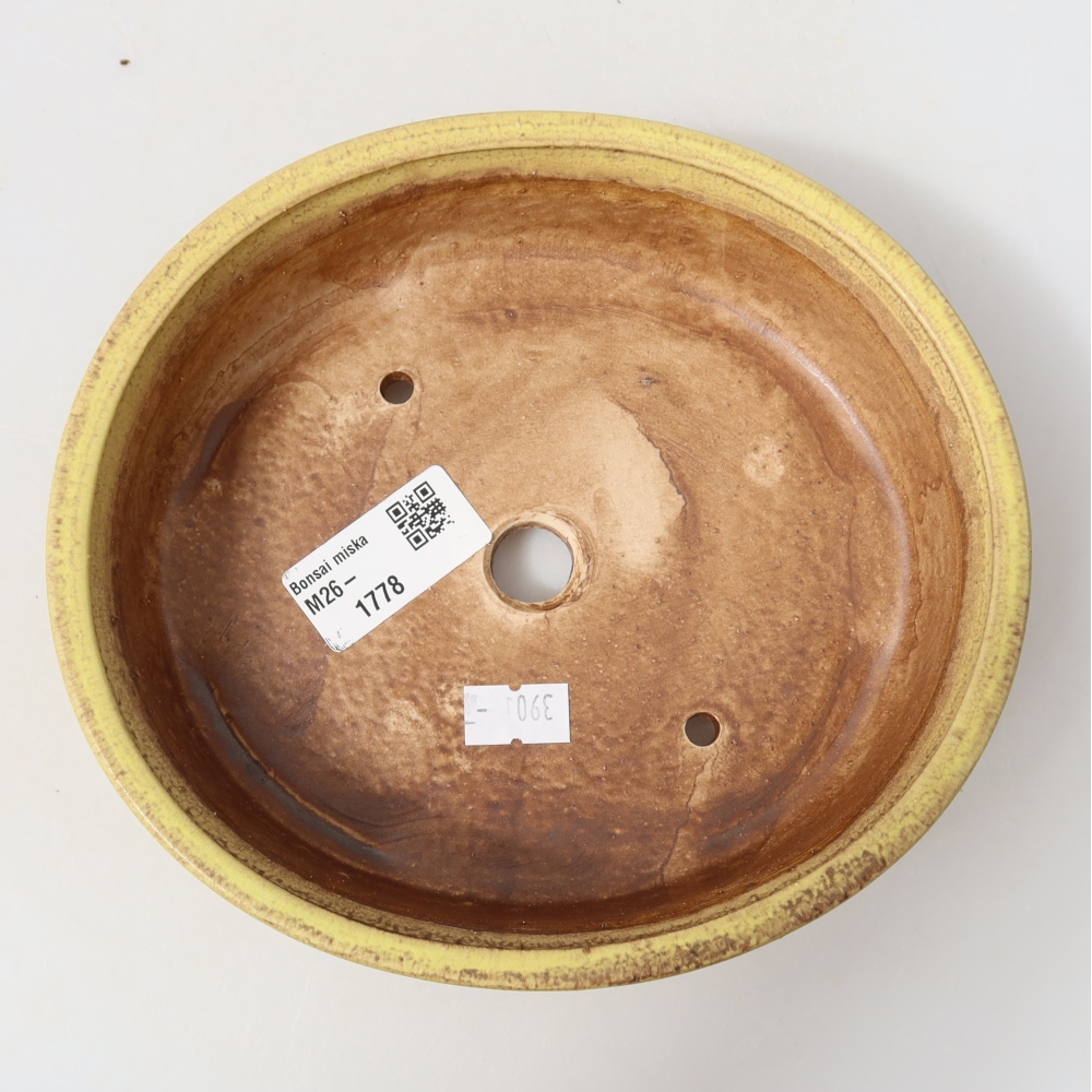 Ceramic bonsai pot, 18 x 16.5 x 4.5 cm, yellow