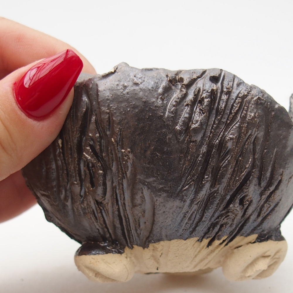 Ceramic Shell 9 x 9 x 6 cm , colour black