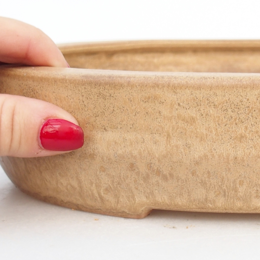 Ceramic bonsai bowl 27 x 21 x 5 cm, colour beige