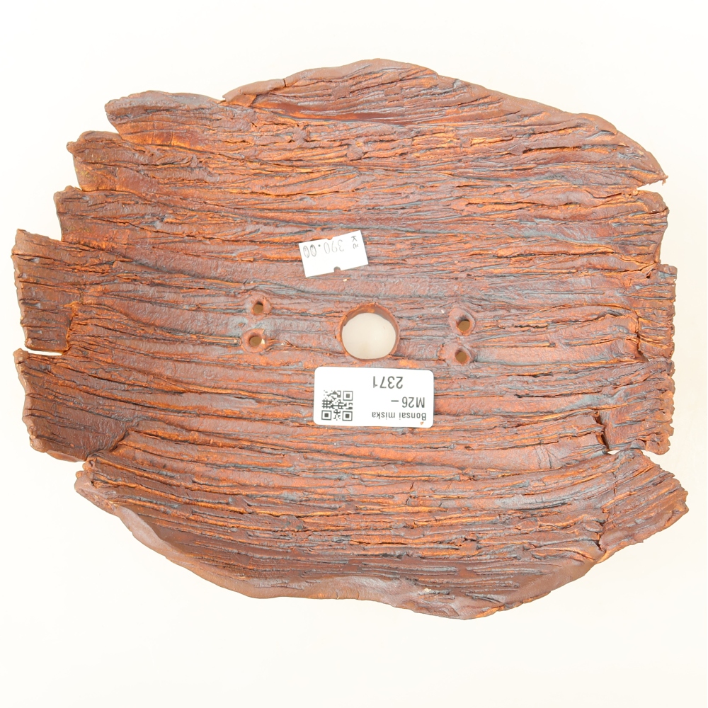 Ceramic Shell  20 x 17 x 7.5 cm, brown