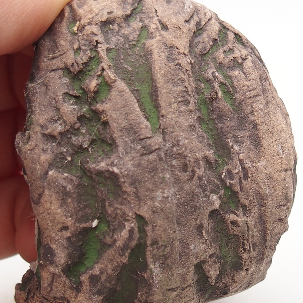Ceramic Shell 6,5 x 5,5 x 6 cm , colour green