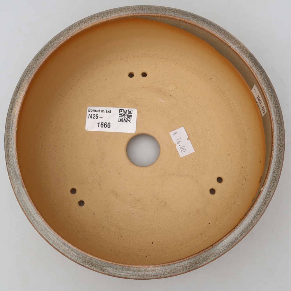 Ceramic bonsai pot, 19 x 19 x 6.5 cm, beige