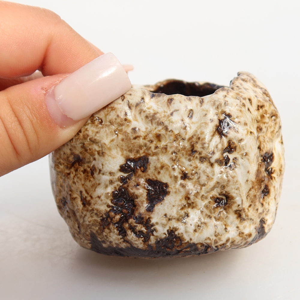 Ceramic Shell, 7.5 x 7.5 x 5.5 cm, white-brown