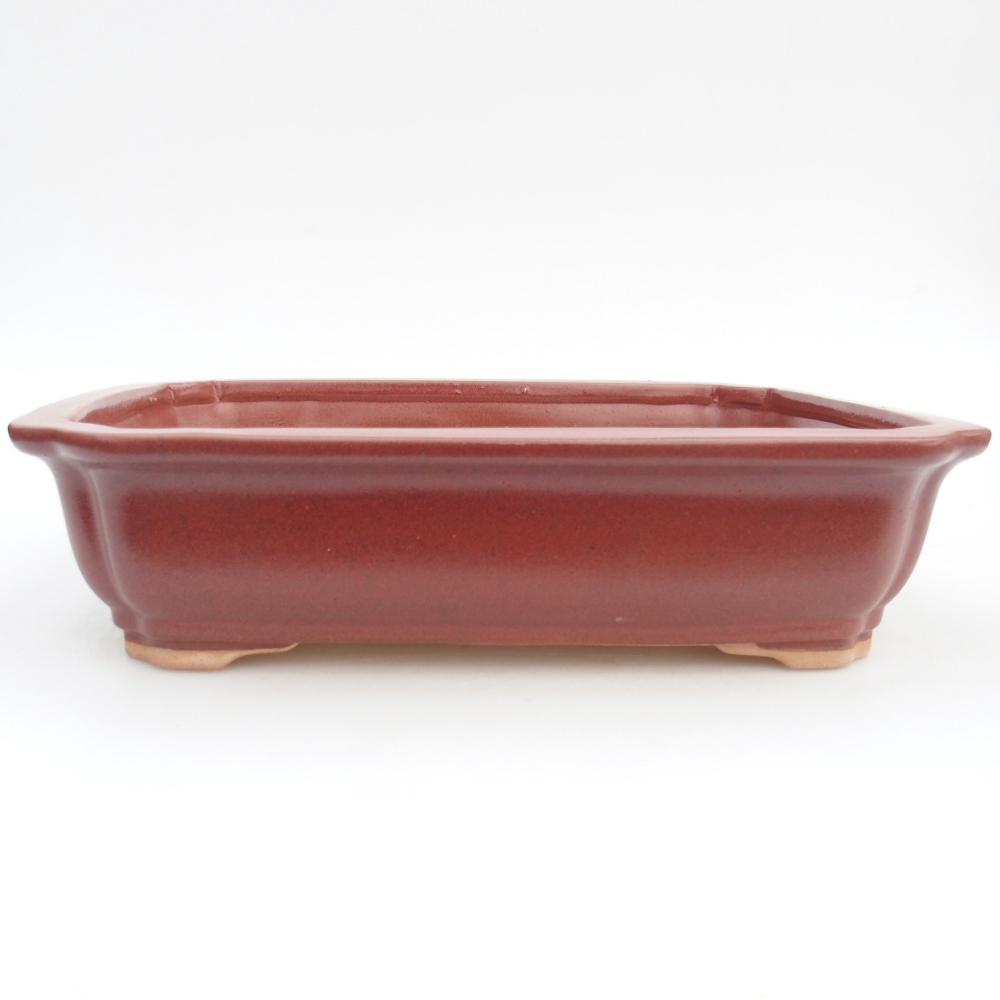 Ceramic bonsai bowl 27,5 x 22 x 7 cm, colour burgundy