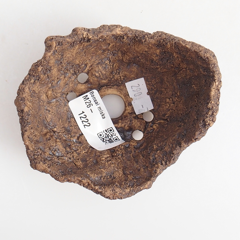 Ceramic Shell 9 x 8 x 7 cm , colour brown