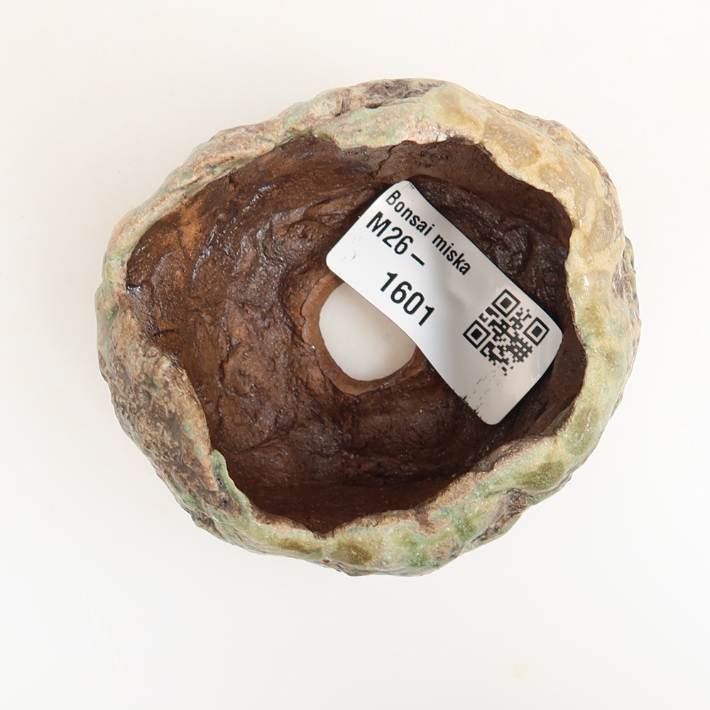 Ceramic Shell  6 x 5.5 x 5 cm, green