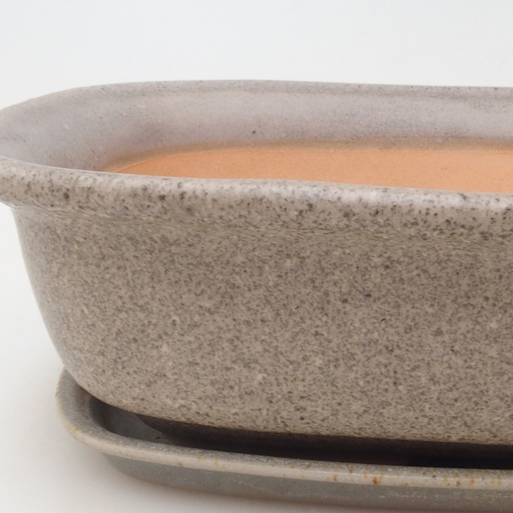 Bonsai pot + saucer H08 - 25 x 19.5 x 6 cm. - beige