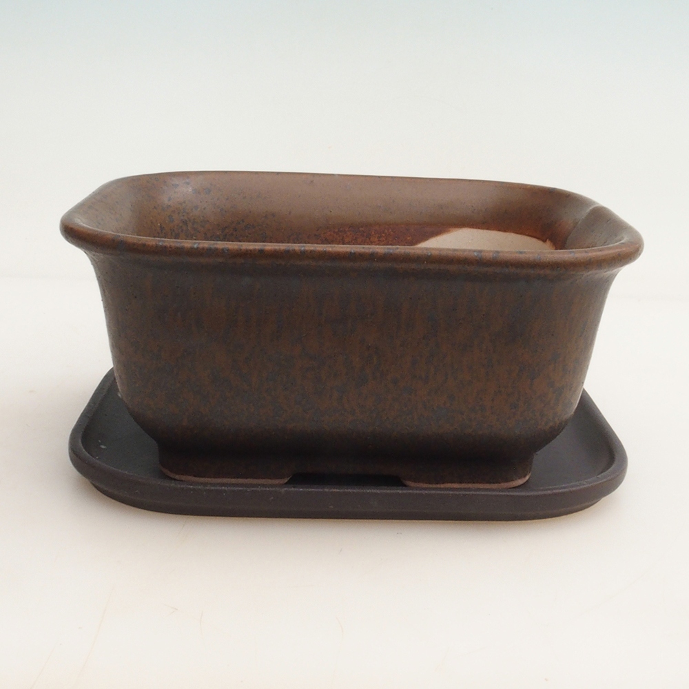 Bonsai bowl + saucer H36 - 17 x 15 x 7.5 cm. - brown