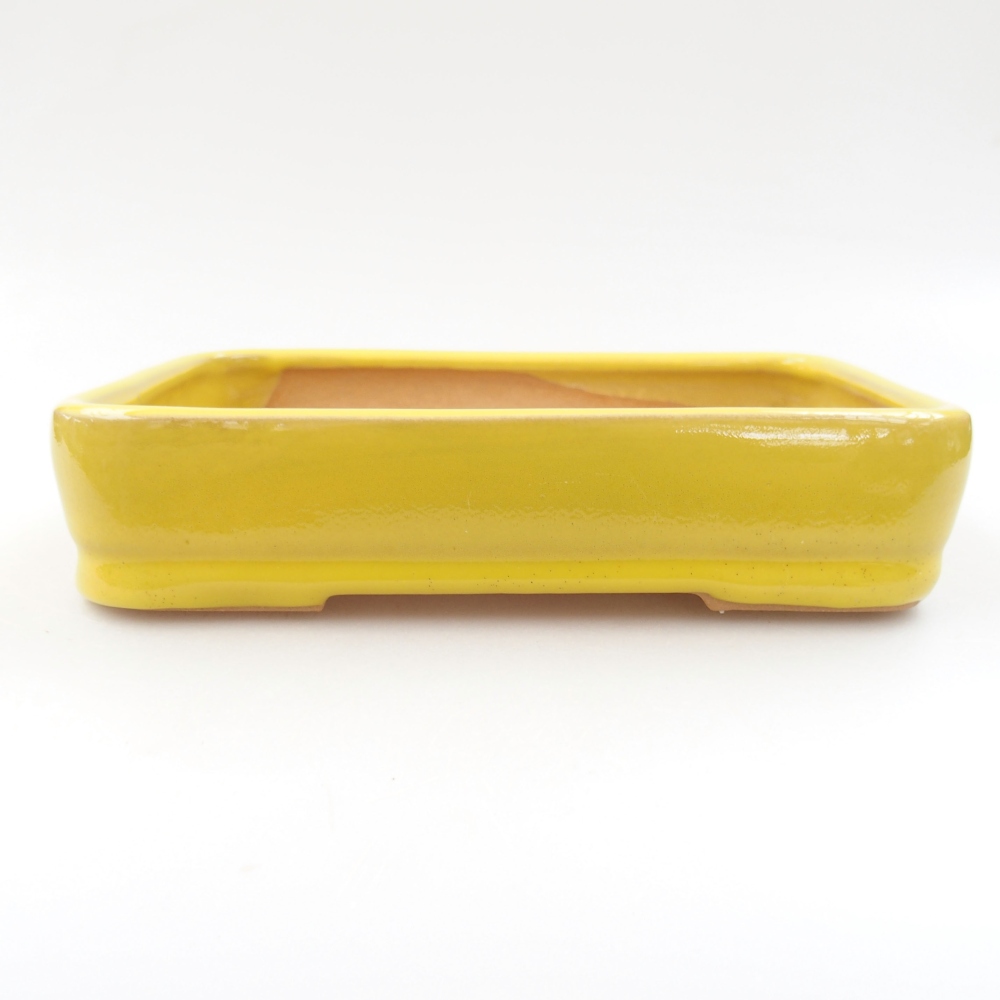 Ceramic bonsai bowl 18 x 13 x 4 cm, color yellow