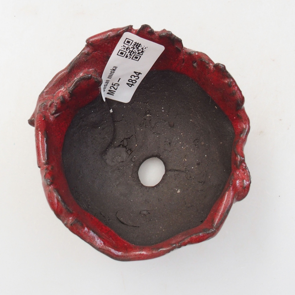 Ceramic shell 9 x 8 x 5 cm, color red