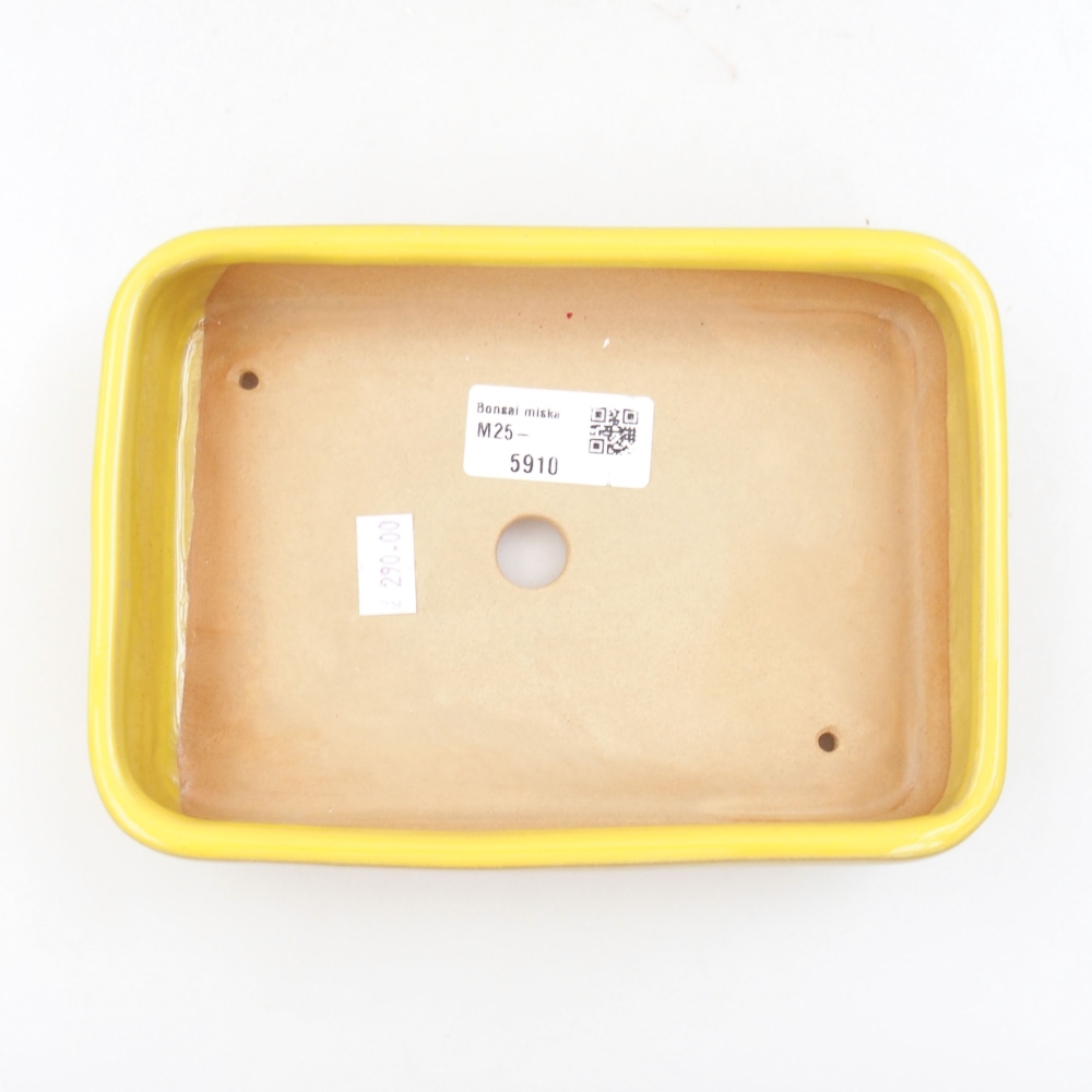 Ceramic bonsai bowl 18 x 13 x 4 cm, color yellow