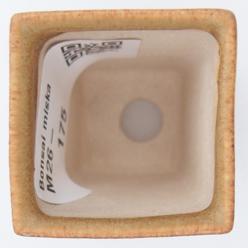 Mini bonsai bowl 3,5 x 3,5 x 5 cm, brown